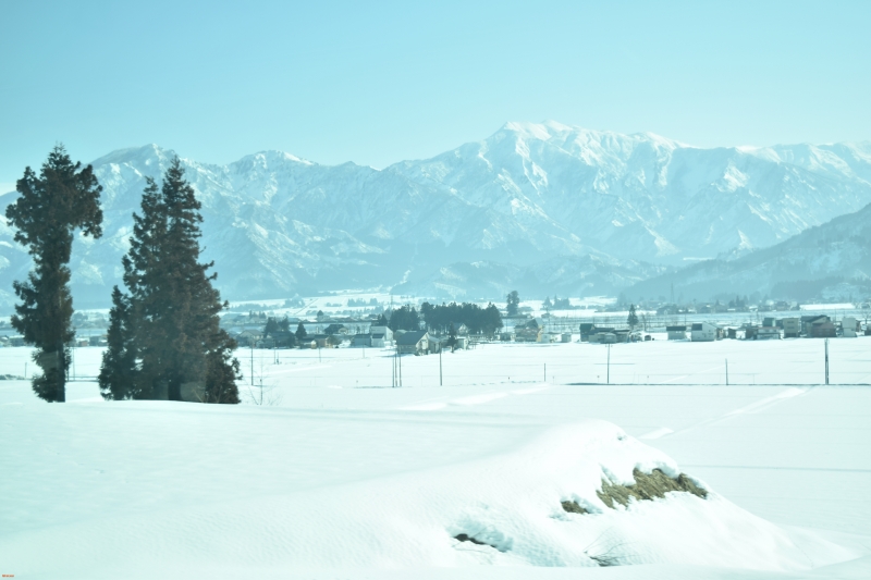 nagaoka-niigata-japan - Niigata1.jpg