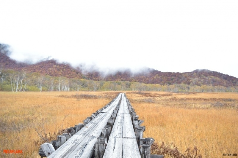 Read more about the article OZE NATIONAL PARK, Japan