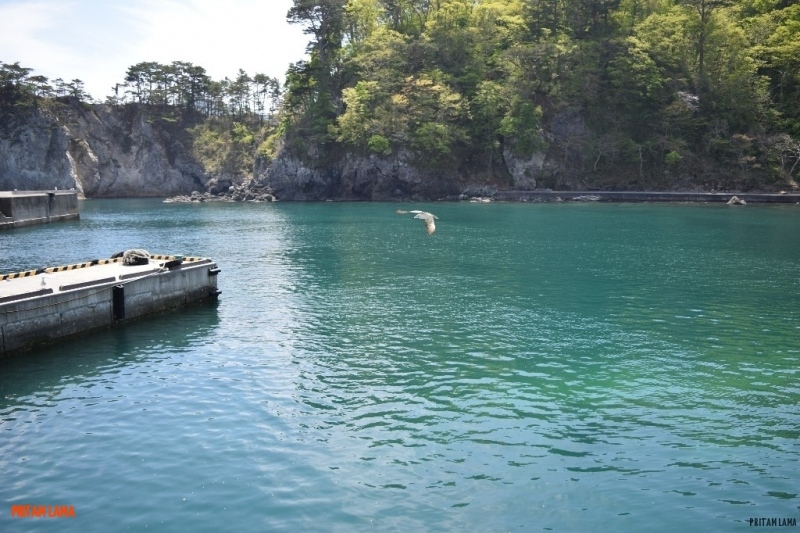 sanriku-geopark-japan - sanriku-2.jpg