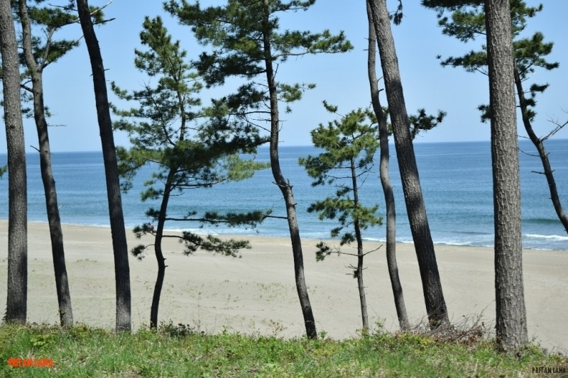 sanriku-geopark-japan - sanriku-6.jpg