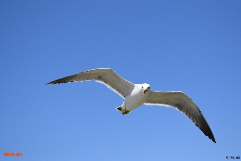 sanriku-geopark-japan - sanriku-7.jpg