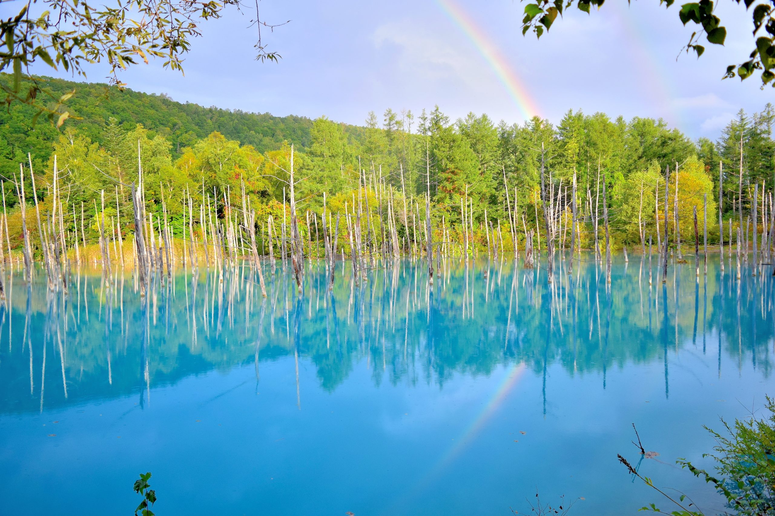 Hokkaido - Art-by-Nature