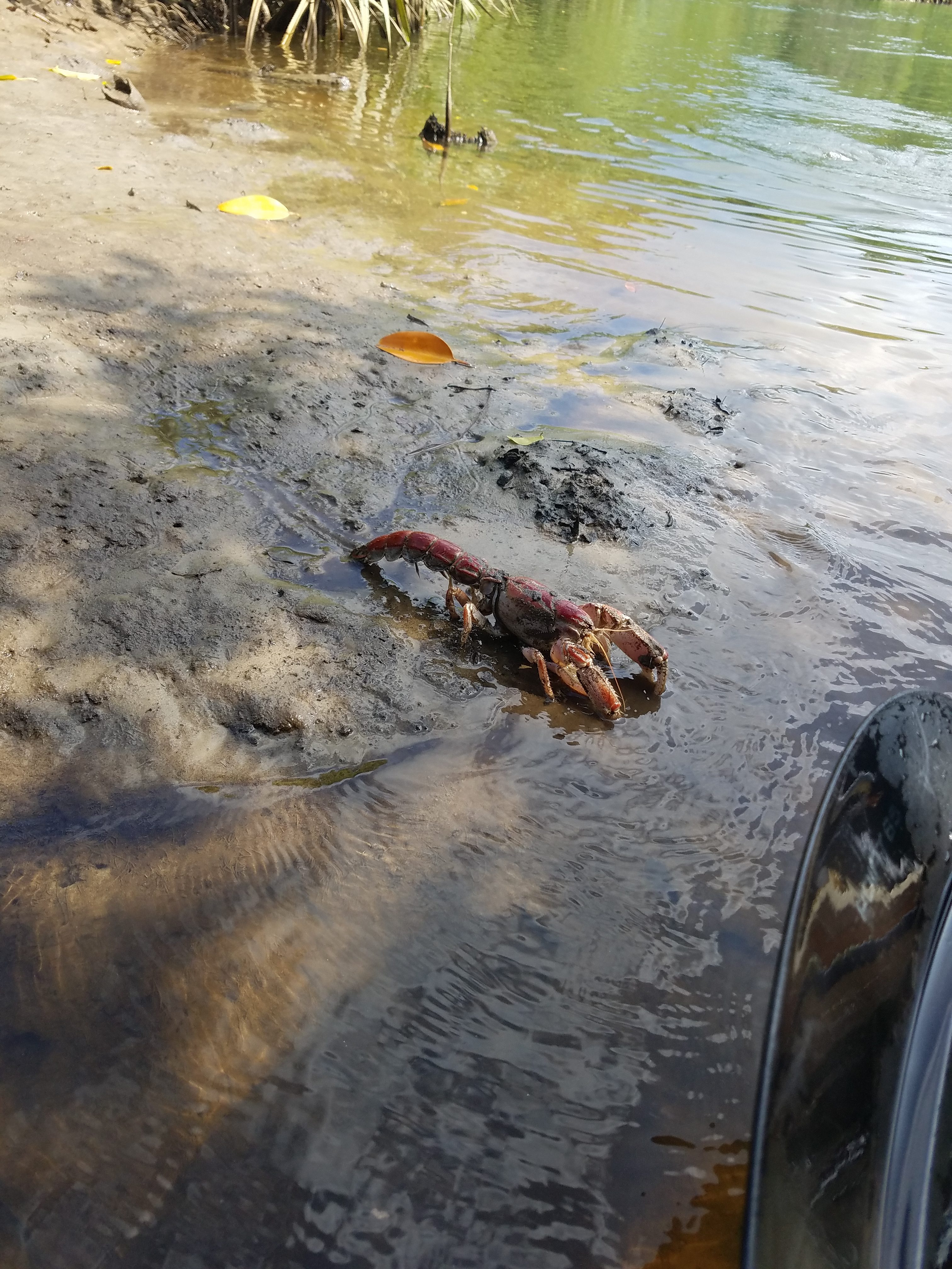 Okinawa-2019 - IMG_20190913_101806