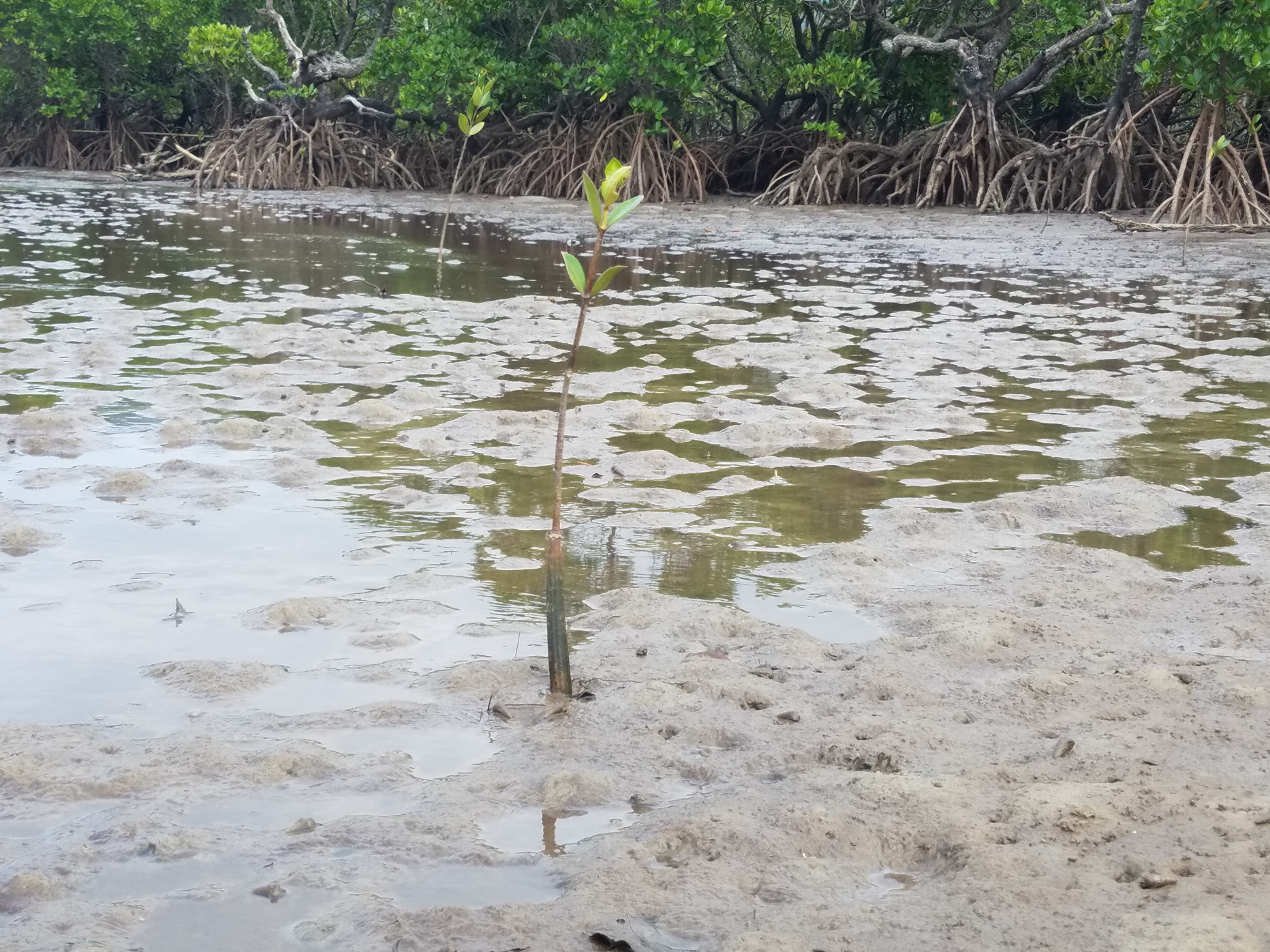 Okinawa-2019 - IMG_20190913_143451