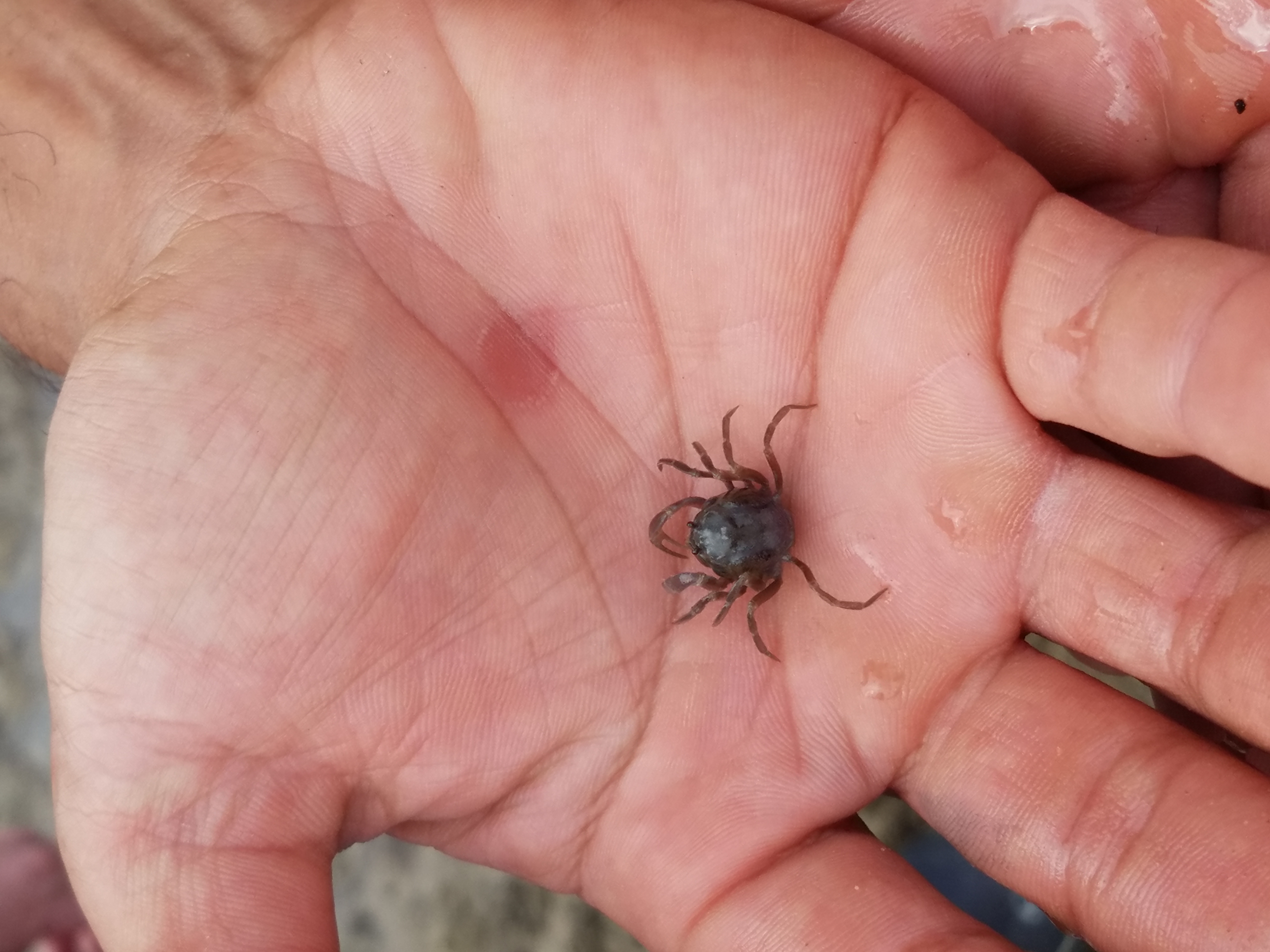 Okinawa-2019 - IMG_20190913_143712