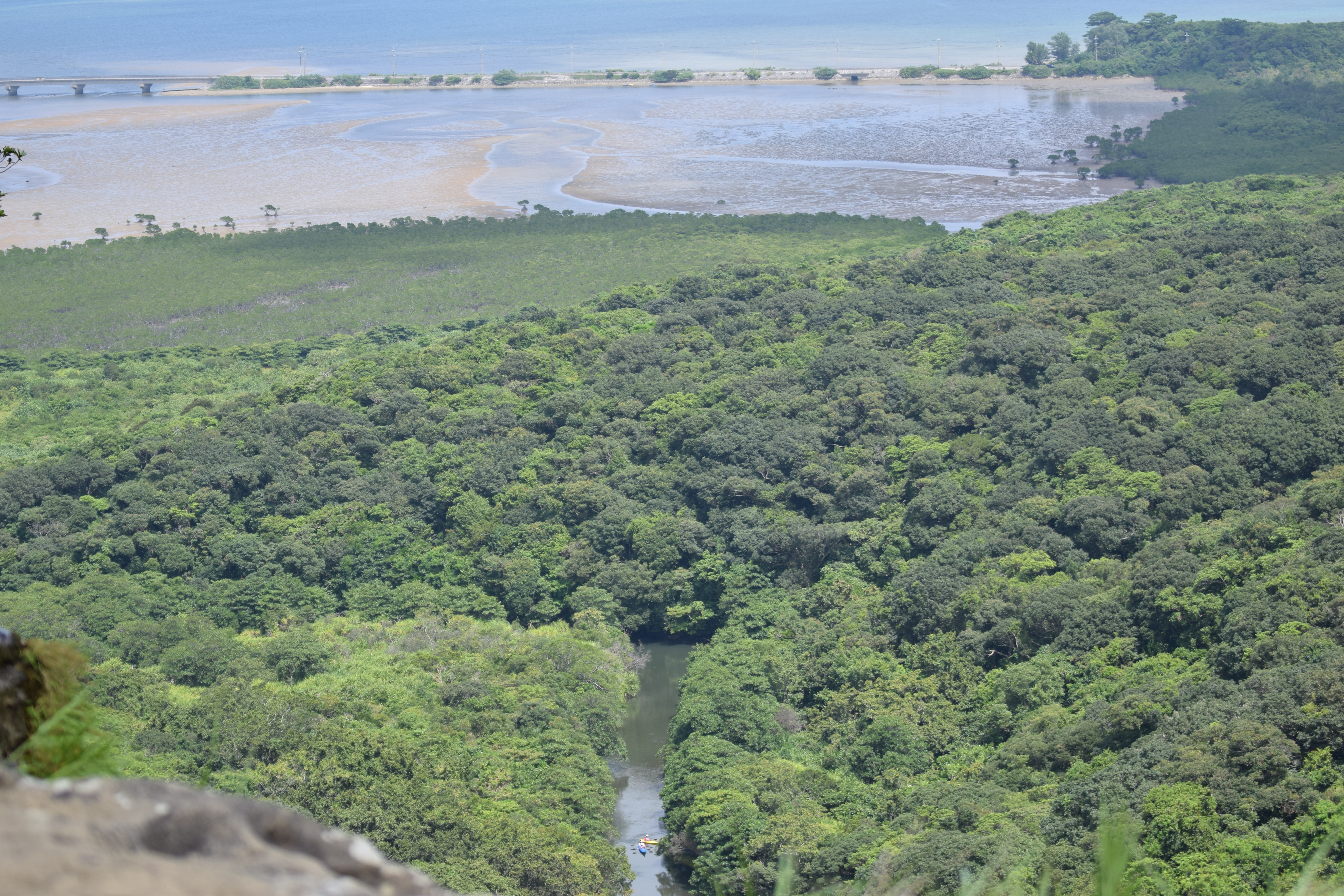 Okinawa-2019 - DSC_3042