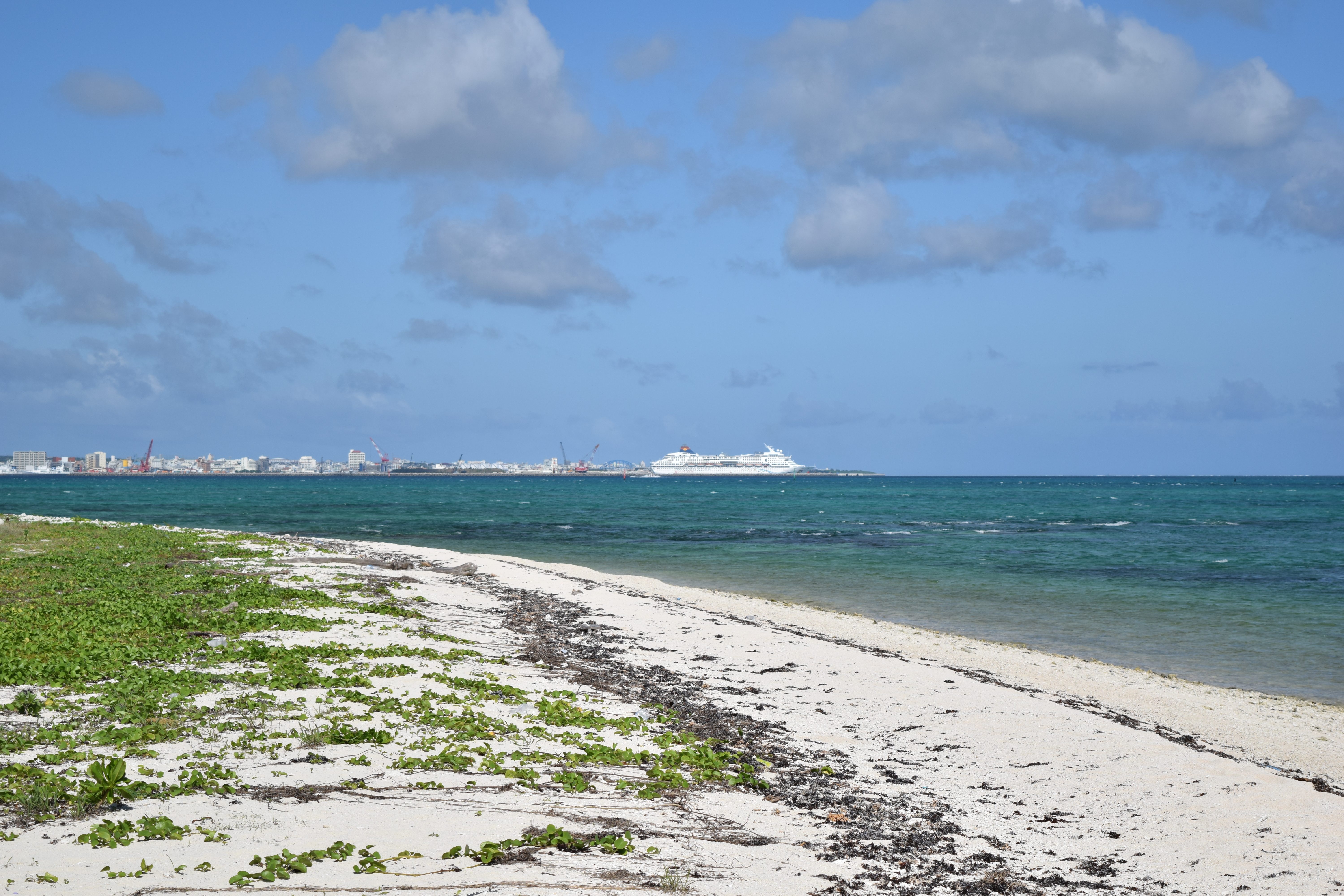Okinawa-2019 - DSC_2946