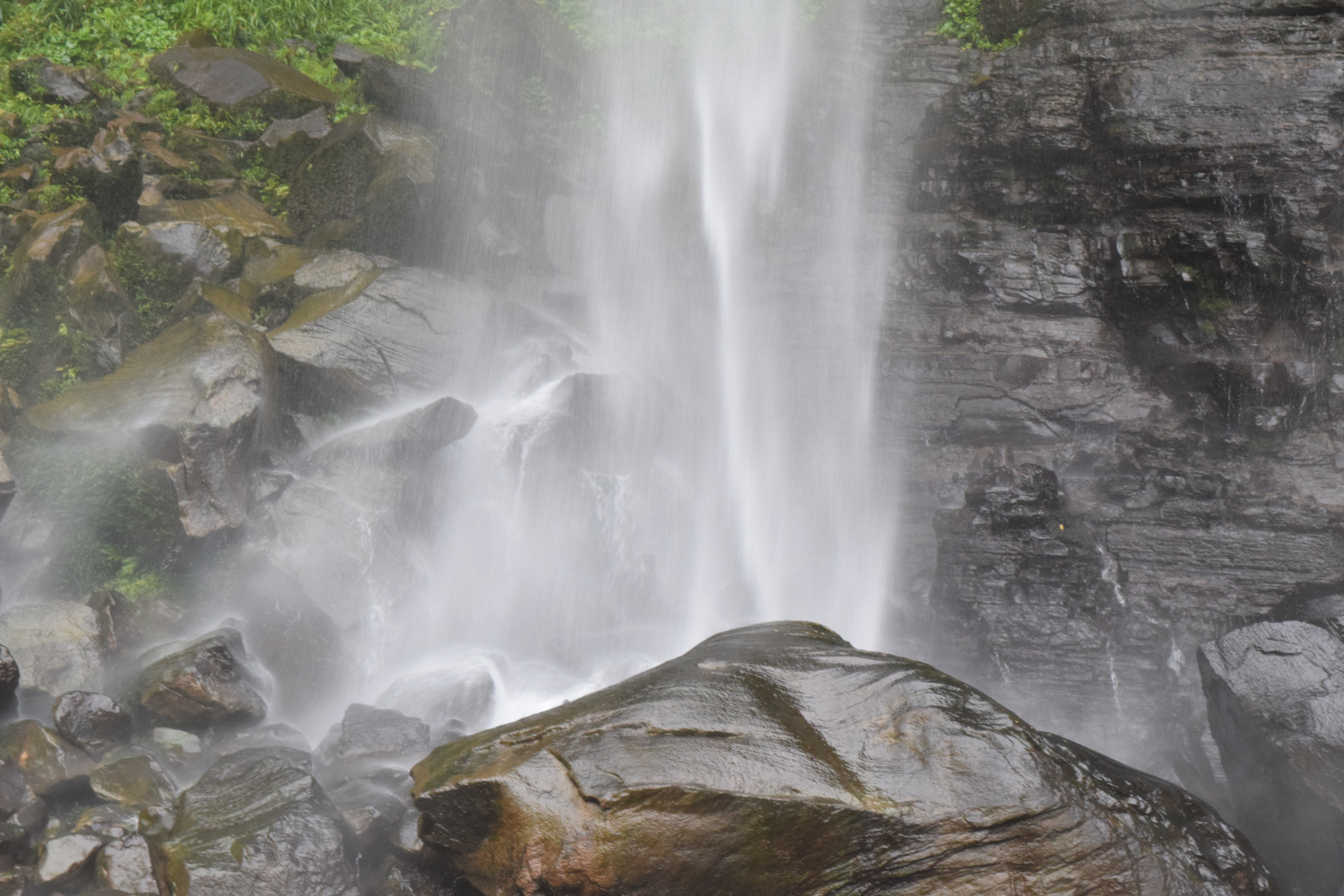 Okinawa-2019 - DSC_3078