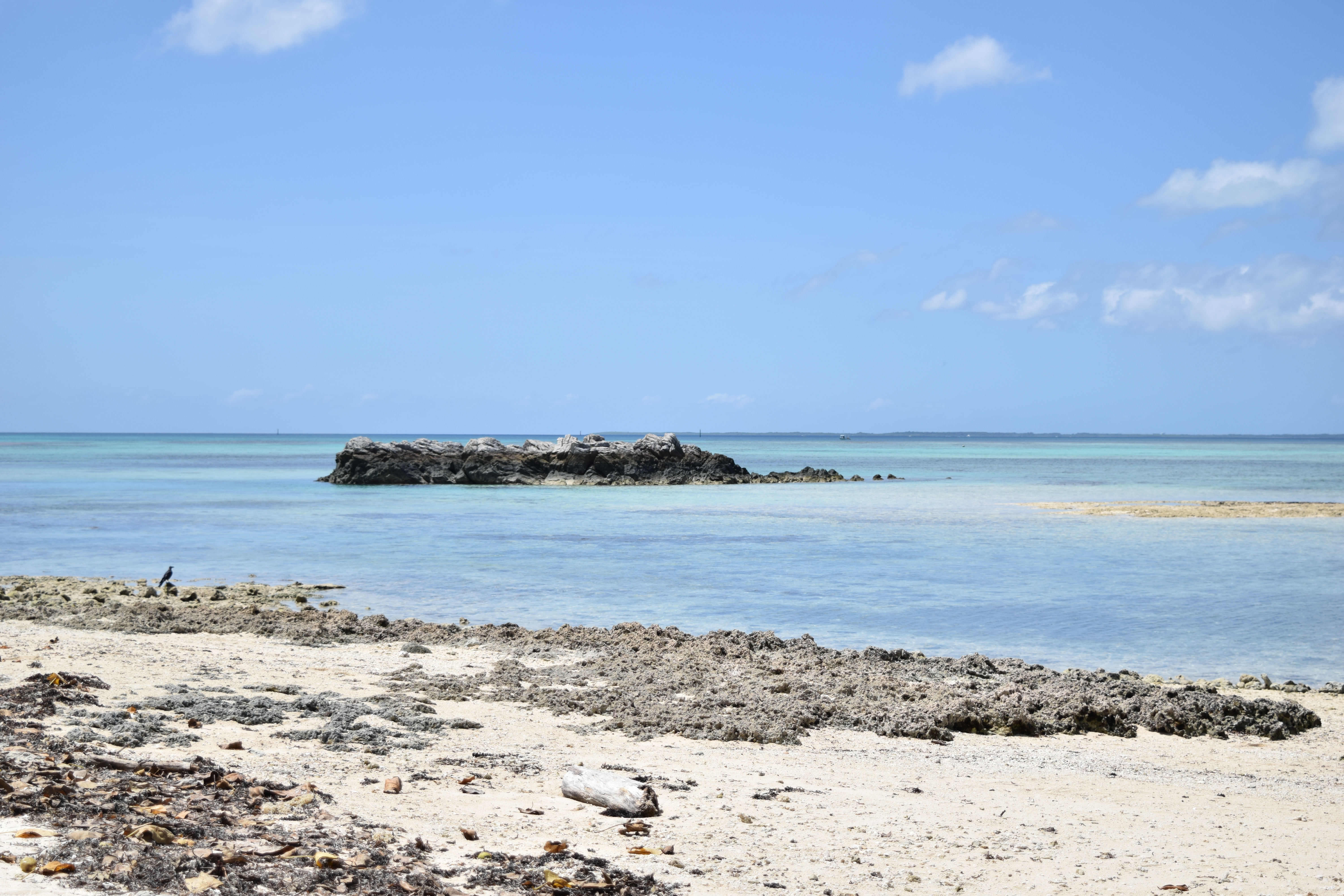 Okinawa-2019 - DSC_2862