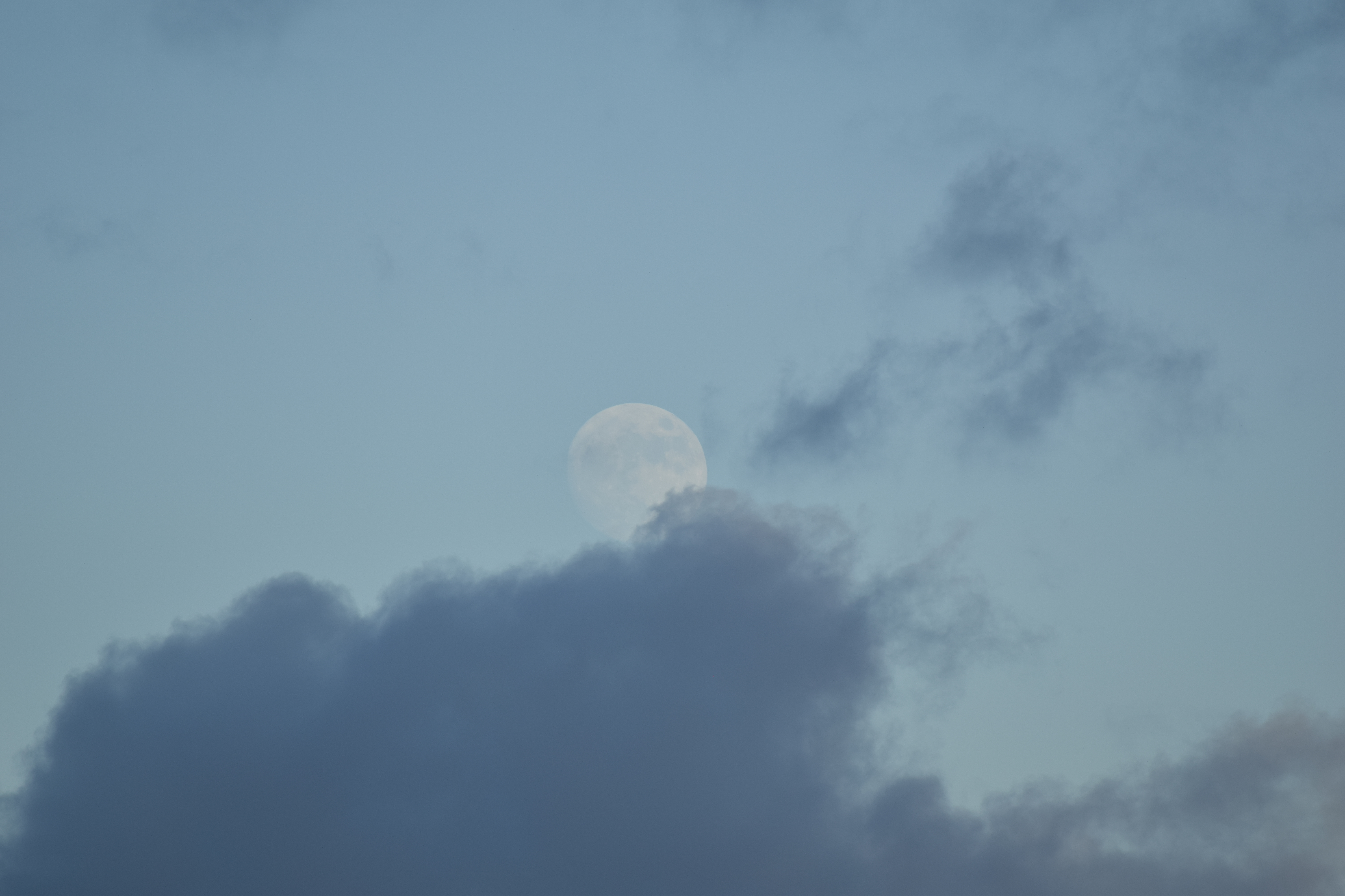 Okinawa-2019 - DSC_2978