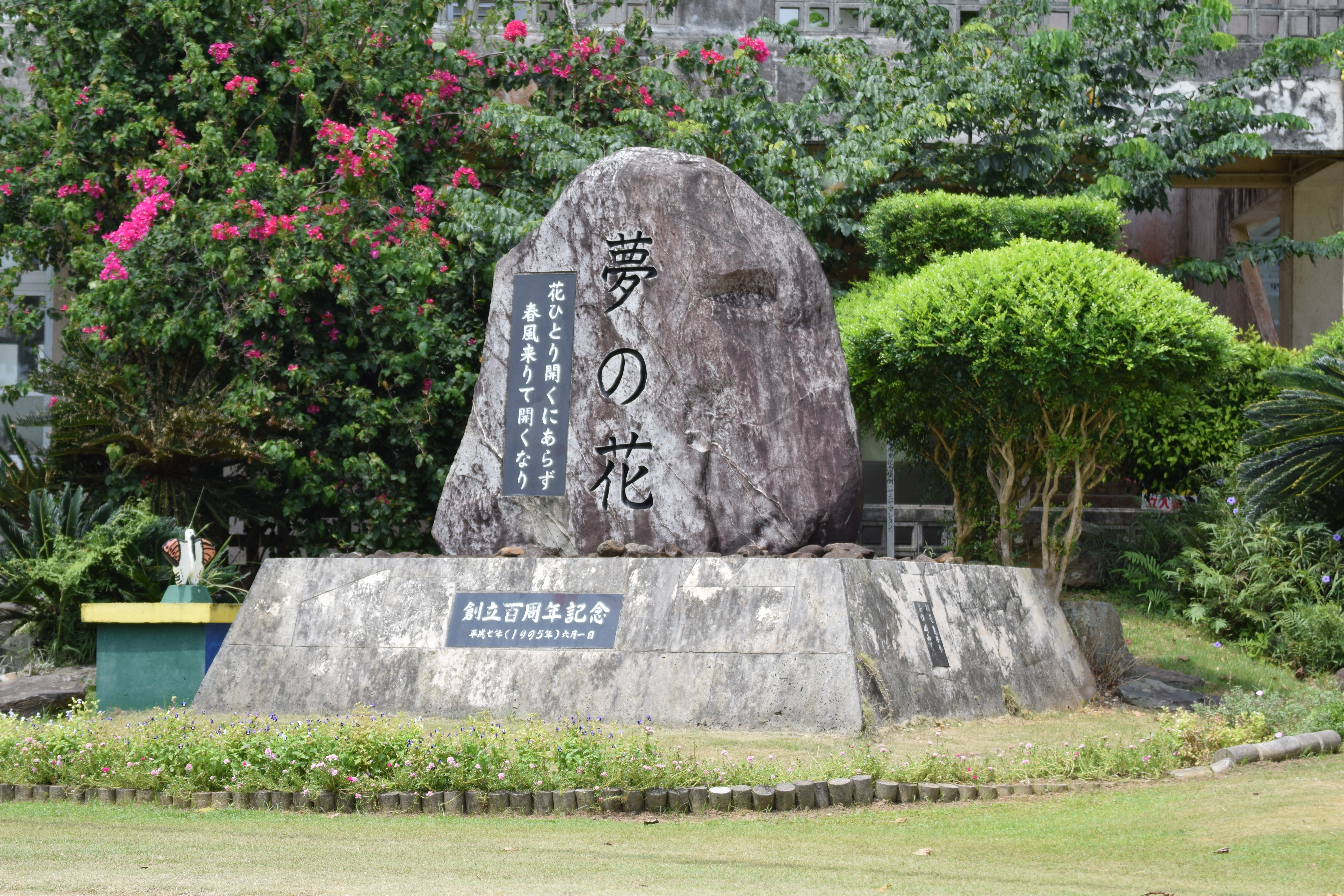 Okinawa-2019 - DSC_3197