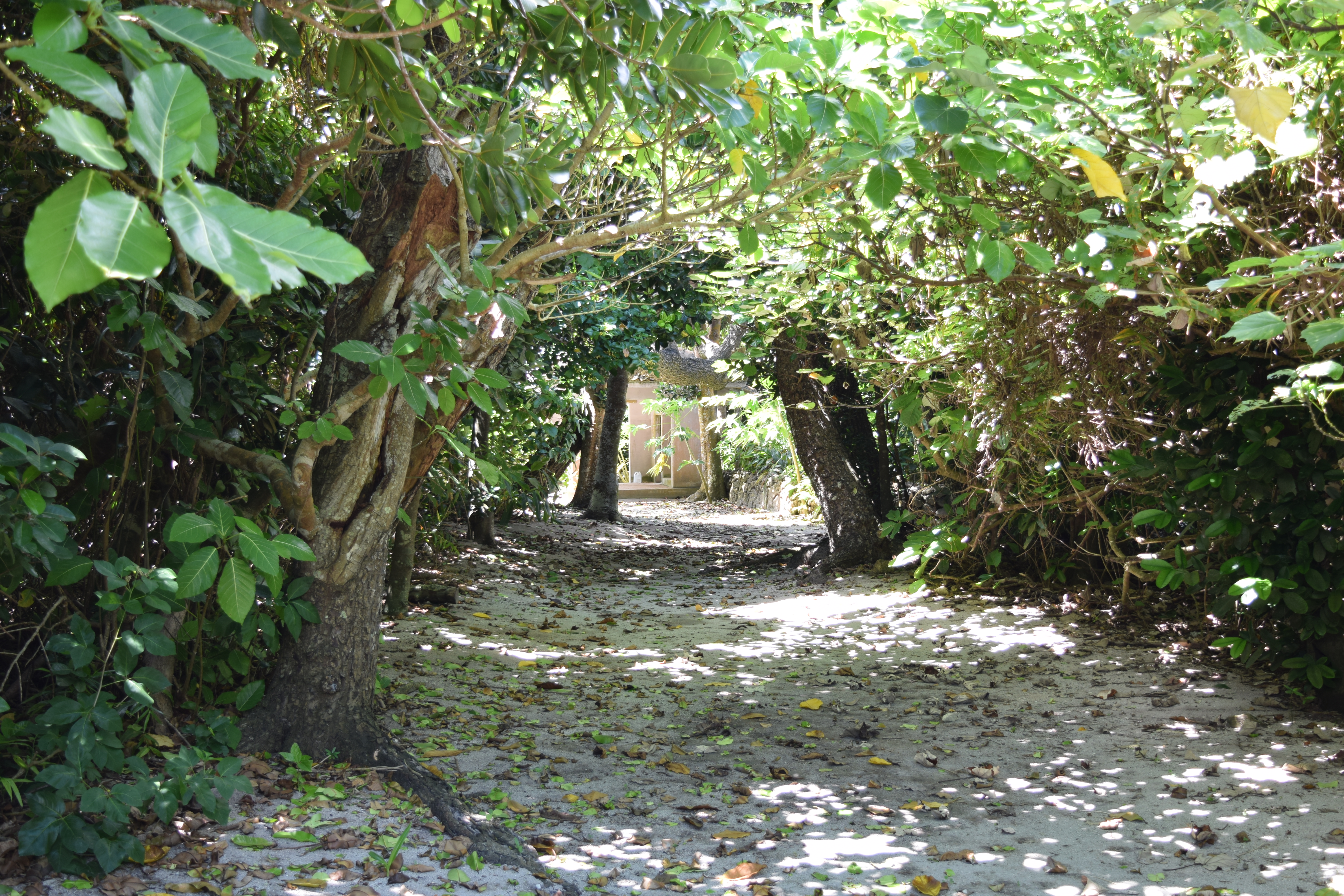 Okinawa-2019 - DSC_2935